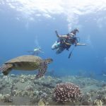 Things to Know About Dive Gear Rental Maui